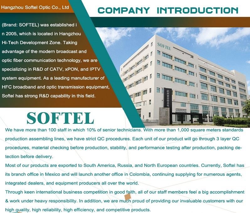 Company introduction