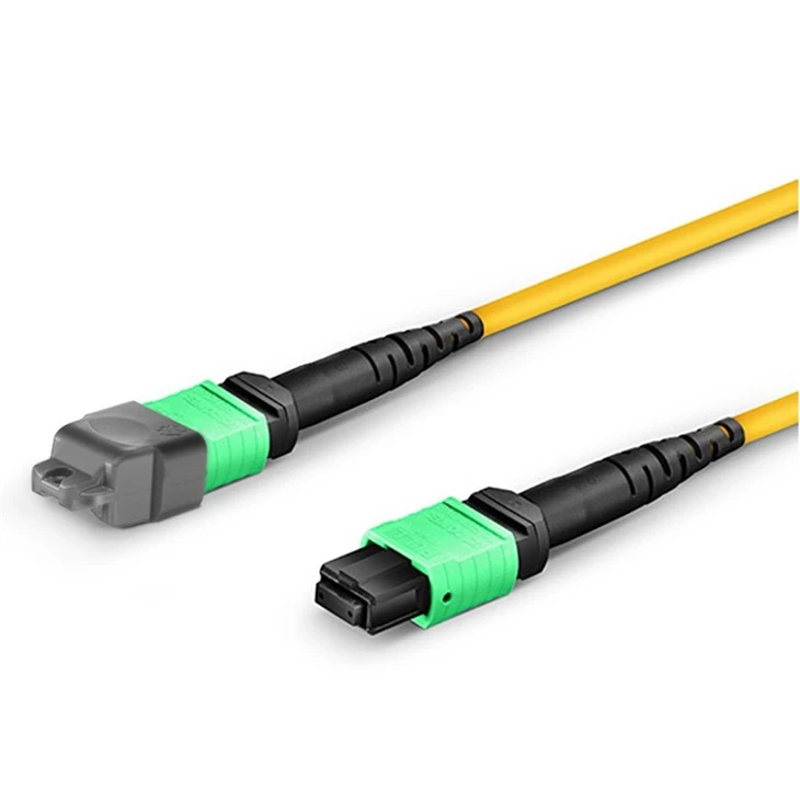 MPO Patch Cord