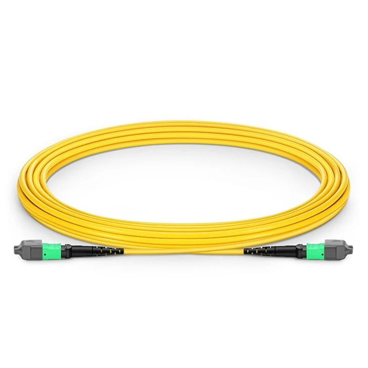 MPO Patch Cord